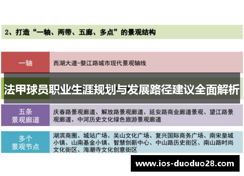 法甲球员职业生涯规划与发展路径建议全面解析