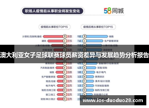 澳大利亚女子足球联赛球员薪资差异与发展趋势分析报告