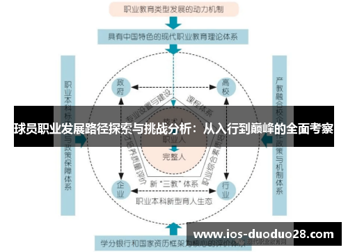 球员职业发展路径探索与挑战分析：从入行到巅峰的全面考察