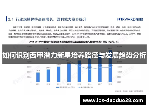 如何识别西甲潜力新星培养路径与发展趋势分析