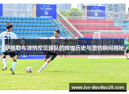 萨格勒布迪纳摩足球队的辉煌历史与激情瞬间揭秘