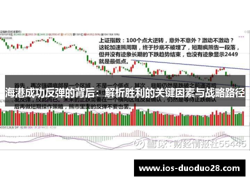 海港成功反弹的背后：解析胜利的关键因素与战略路径