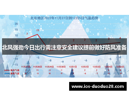 北风强劲今日出行需注意安全建议提前做好防风准备
