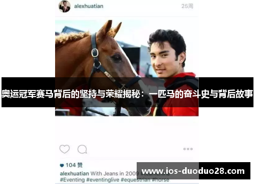 奥运冠军赛马背后的坚持与荣耀揭秘：一匹马的奋斗史与背后故事