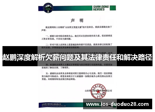 赵鹏深度解析欠薪问题及其法律责任和解决路径