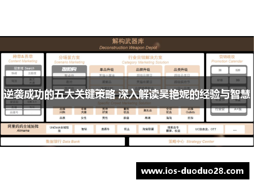 逆袭成功的五大关键策略 深入解读吴艳妮的经验与智慧
